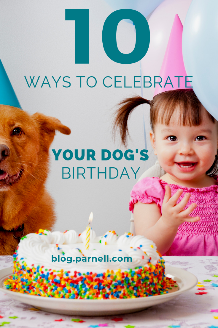 10 Ways To Celebrate Your Dog’s Birthday